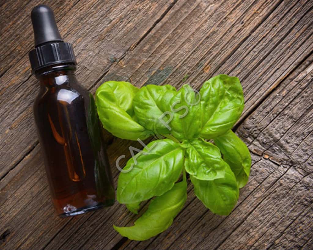 Comprar Costus Root Natural Essential Oil
